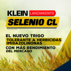 Read more about the article KLEIN SELENIO CL | El nuevo trigo tolerante a herbicidas imidazolinonas con más rendimiento del mercado